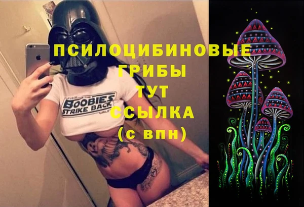 ГАЛЛЮЦИНОГЕННЫЕ ГРИБЫ Баксан