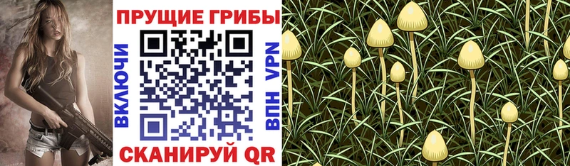 Галлюциногенные грибы ЛСД  Белоярский 